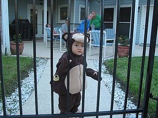 Sugarbabies: Please Don't Feed the Lil Monkey 